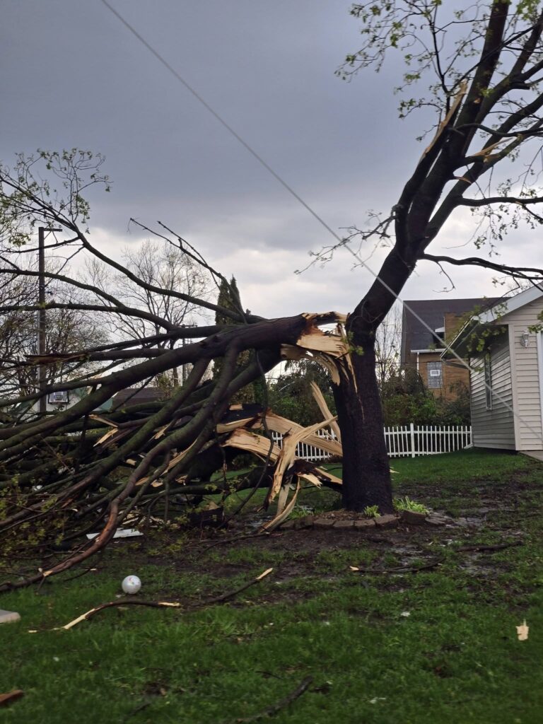 tornado usa illinois lena