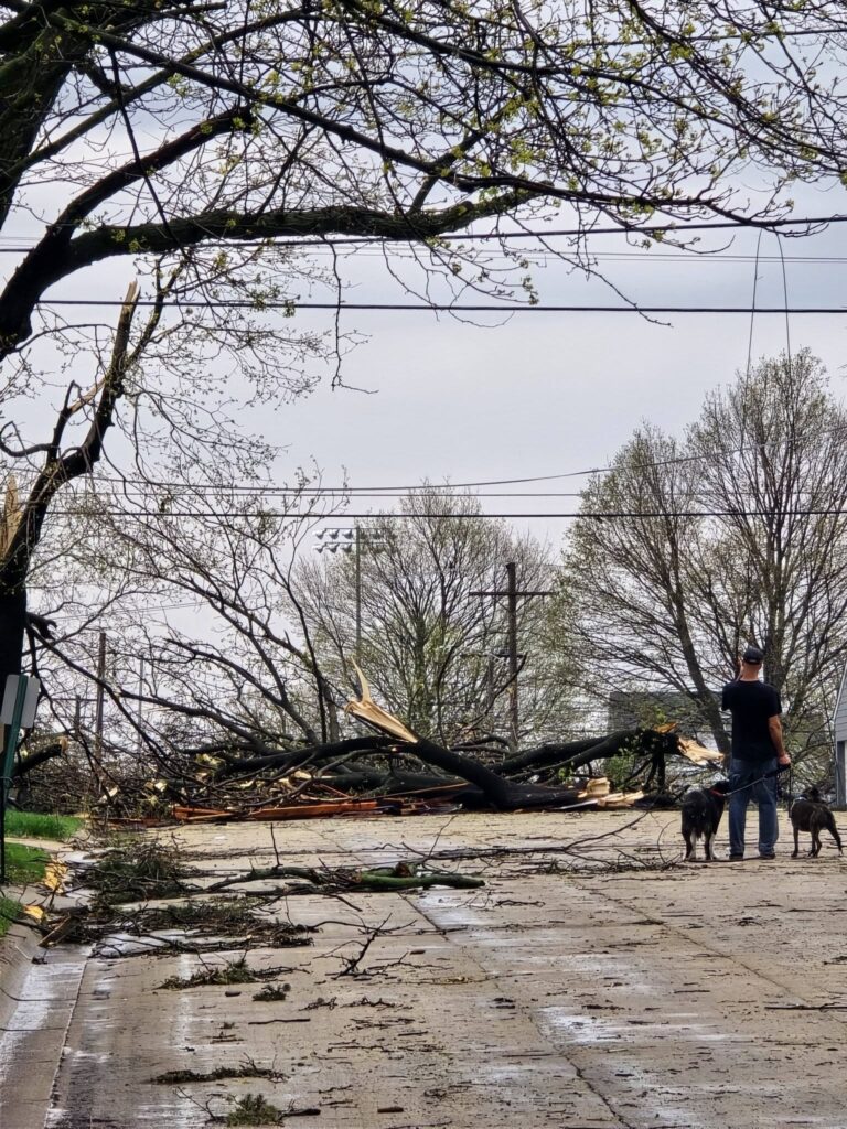 tornado usa illinois lena