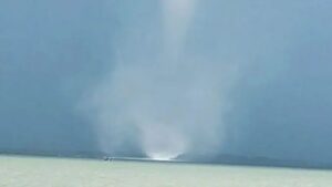 tromba marina indonesia