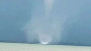 tromba marina indonesia