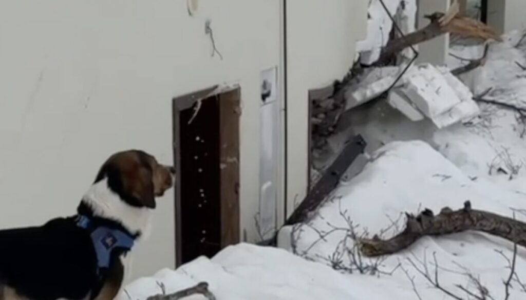 valanga prati di tivo