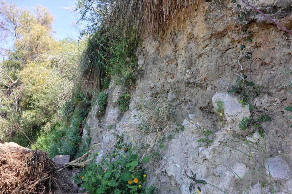 valensise faglia cannitello