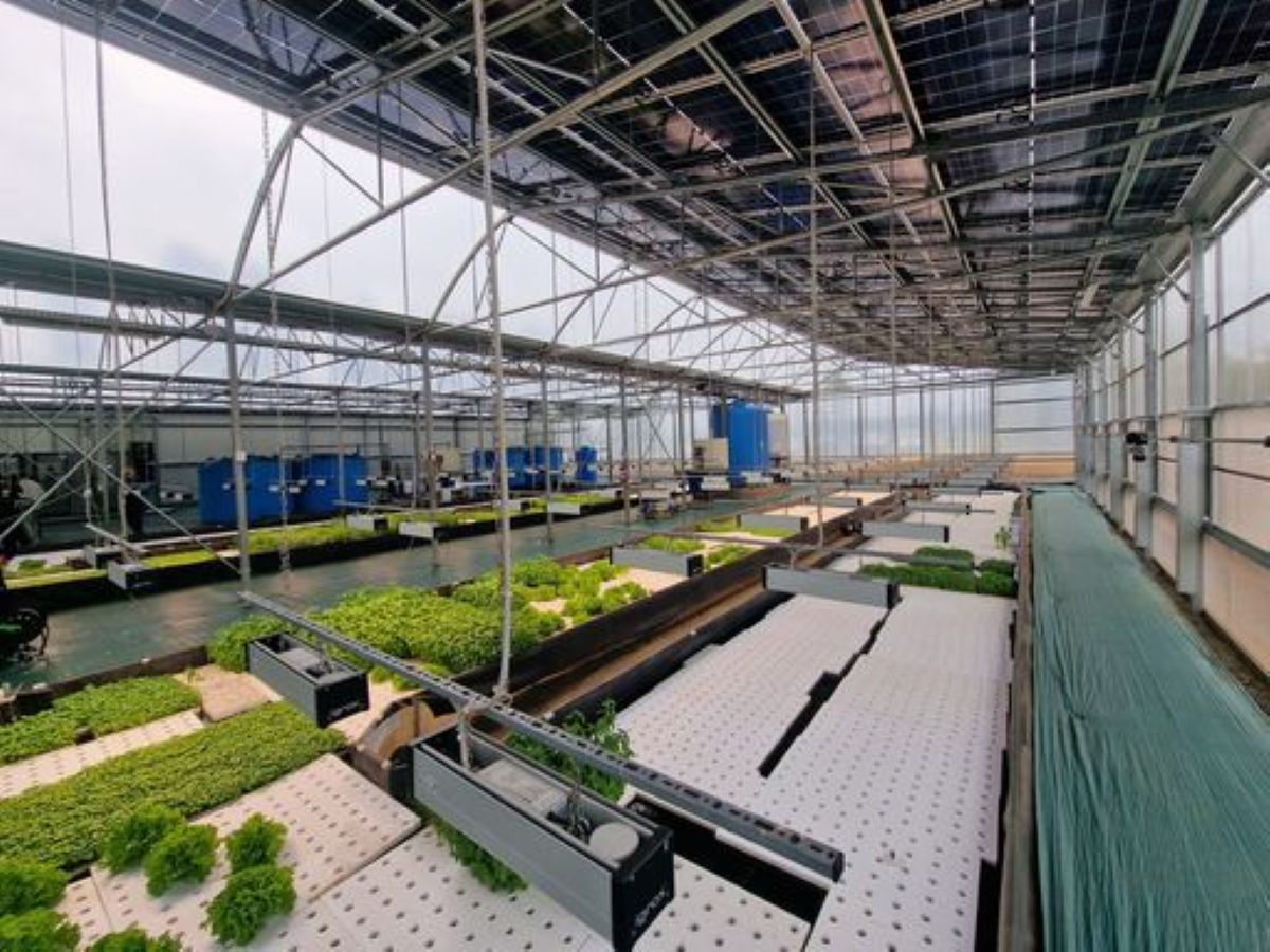 Agri Research