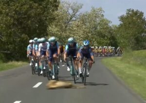 Cervo ciclismo