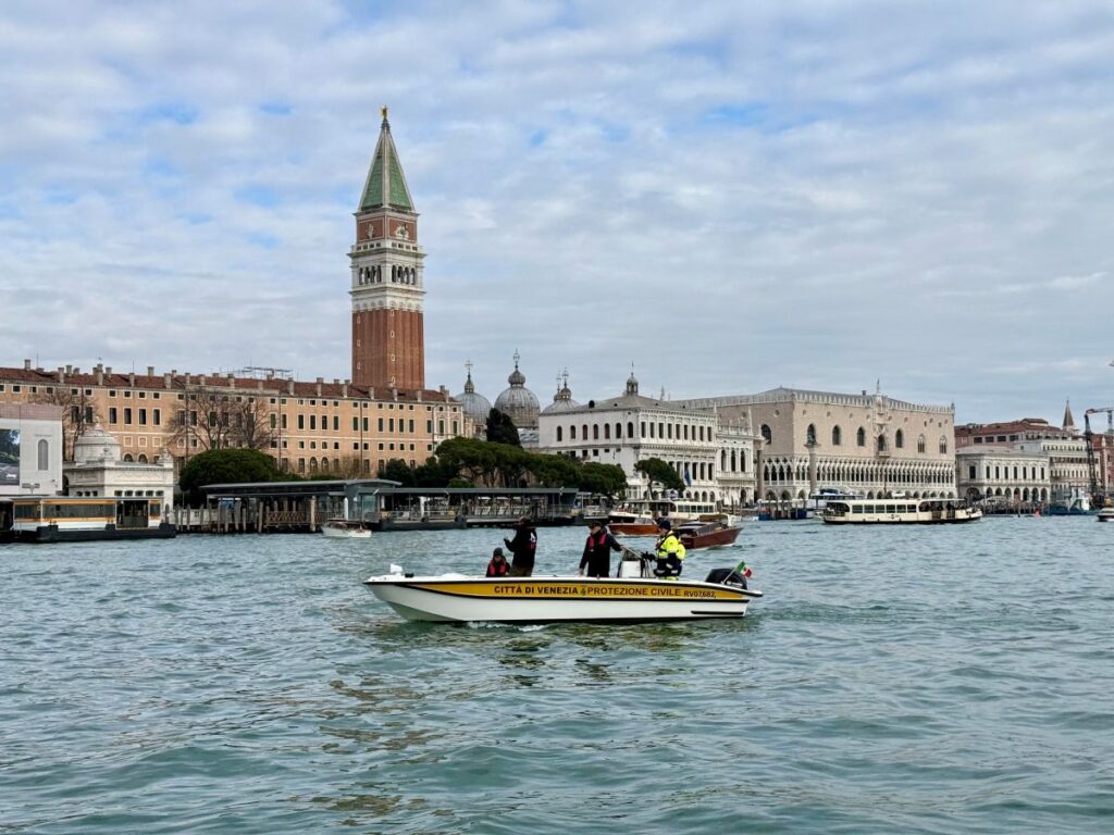 Delfino Venezia
