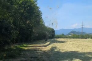 Dust Devil Curno