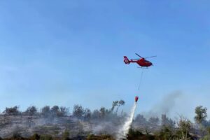Incendio Parco Langer