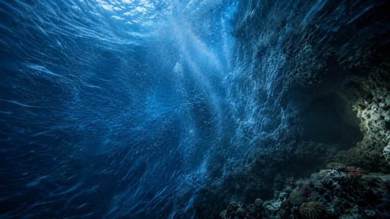 Maldive