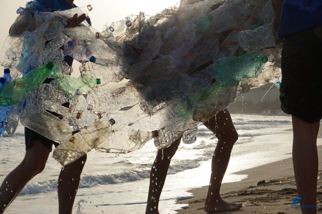 Marine Litter Art