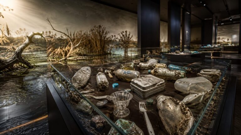 Museo plastica