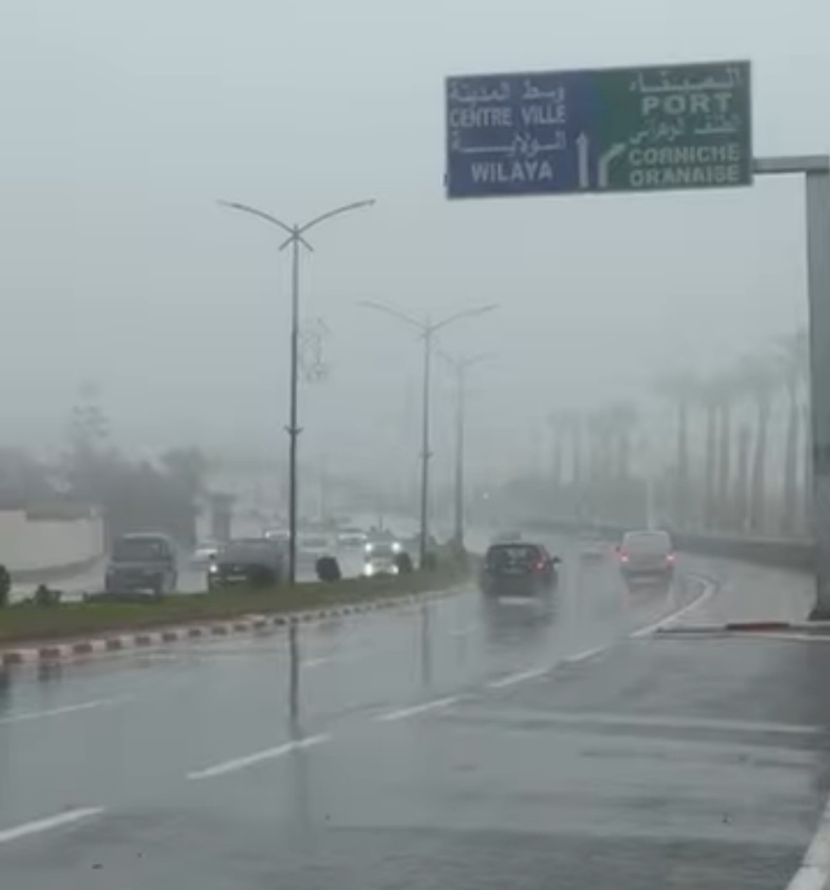 Nebbia Algeria