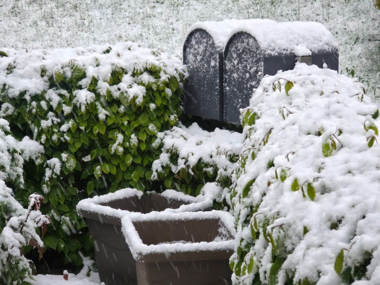 Neve Alpi svizzere 12 maggio
