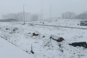 Neve Turchia 2 maggio