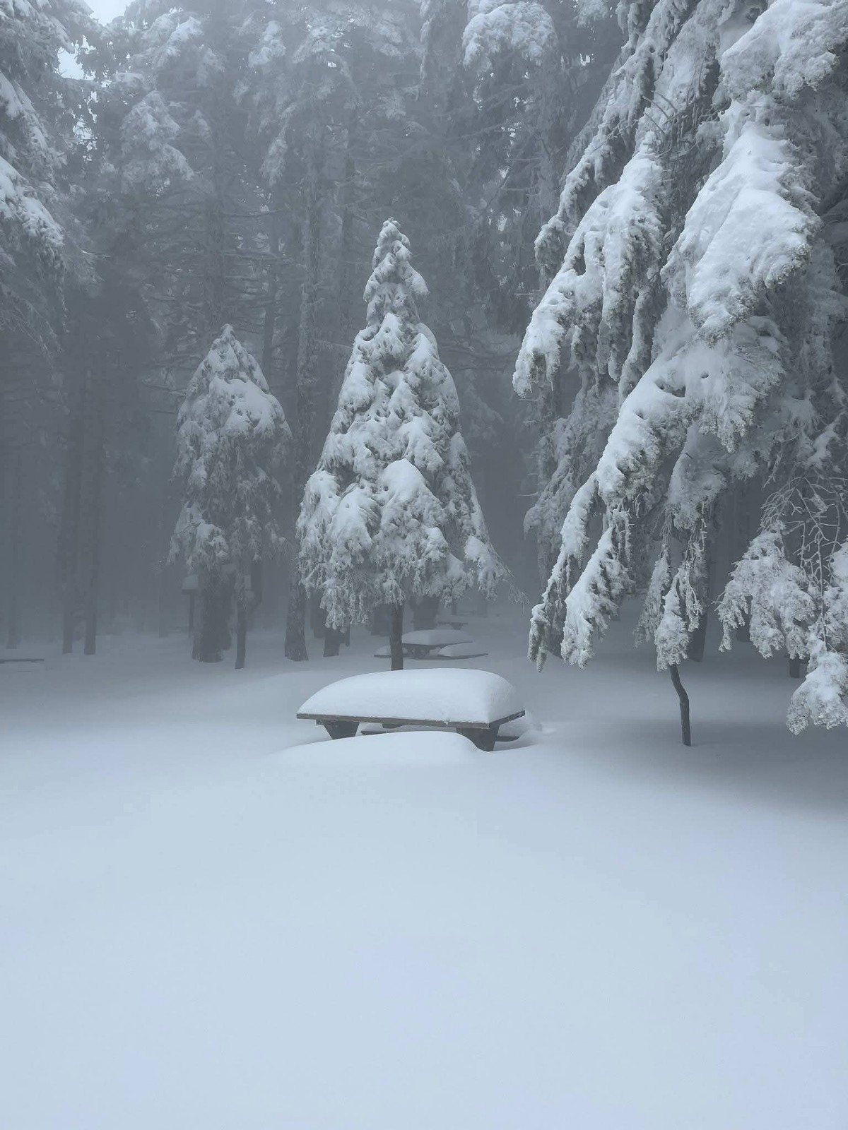 Neve Turchia Uludağ