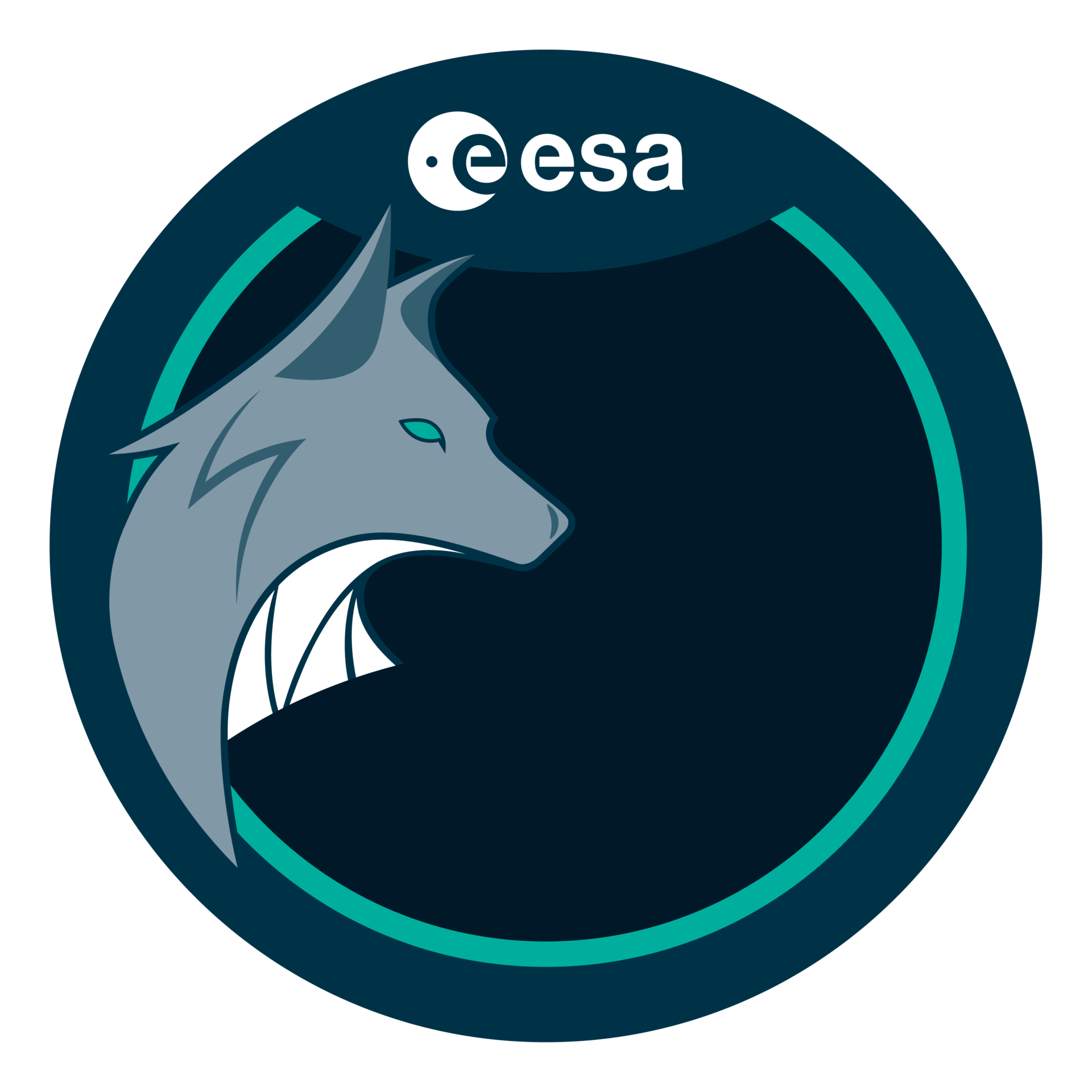Patch Saga ESA