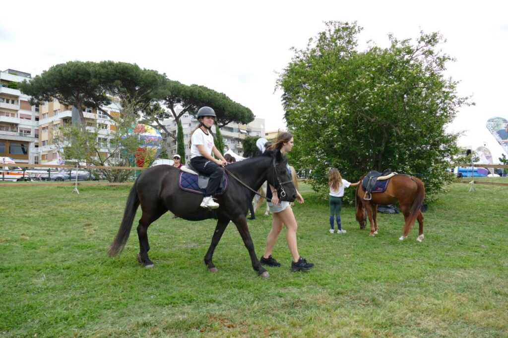 Sport in famiglia