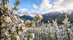 alto adige gelate brina