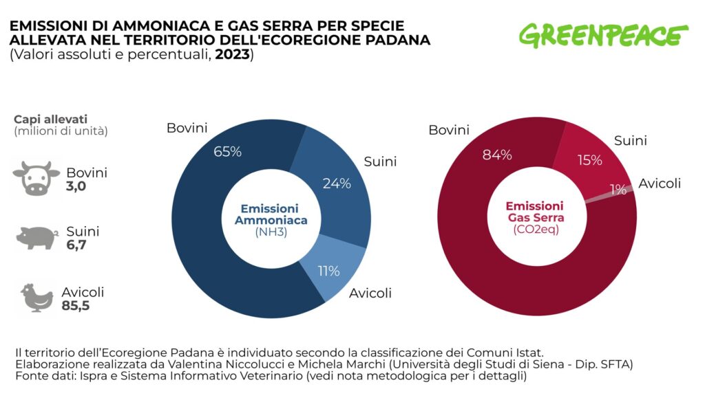 bovini greenpeace emissioni 2023