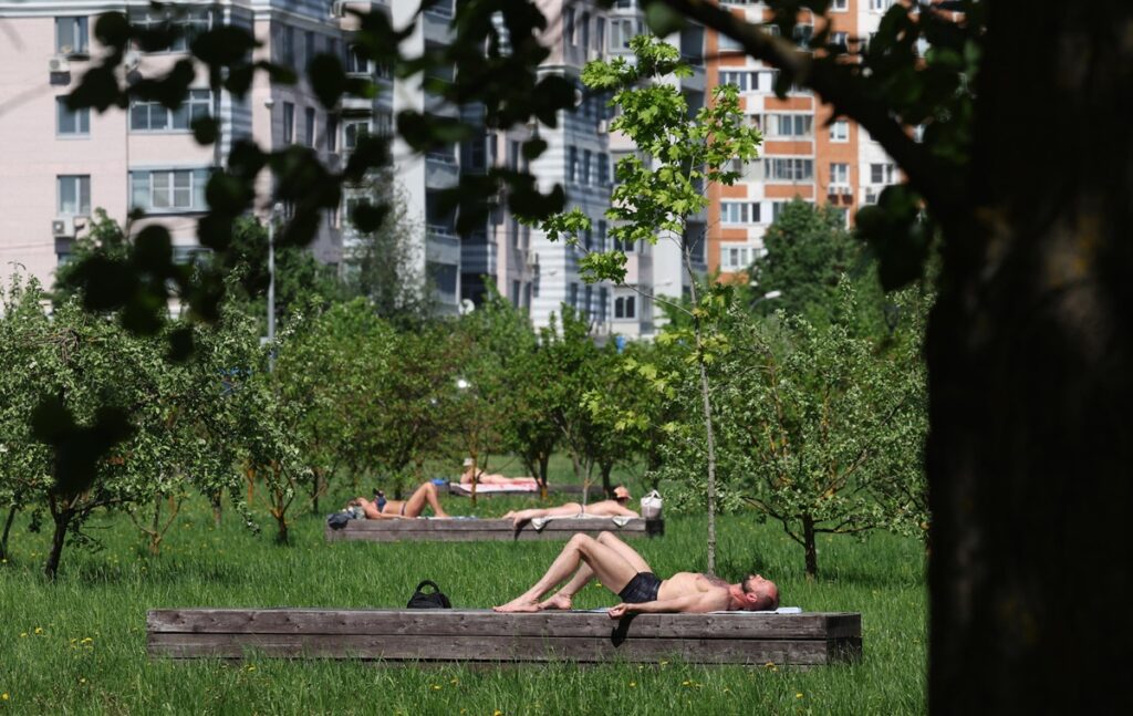 caldo mosca russia