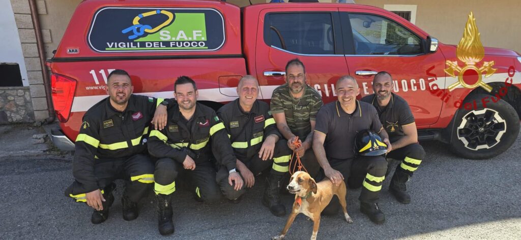 cane dirupo Domanico