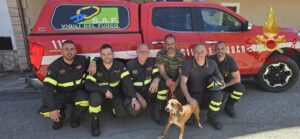 cane dirupo Domanico