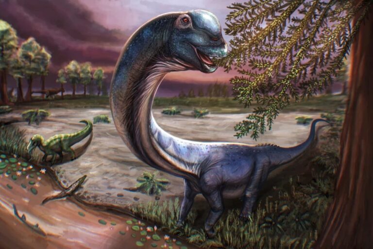 dinosauro Nagatitan chaiyaphumensis