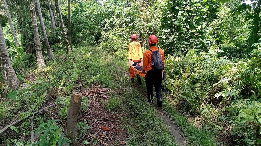 eruzione vulcano Dukono indonesia