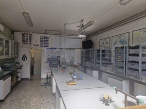 farine di insetti