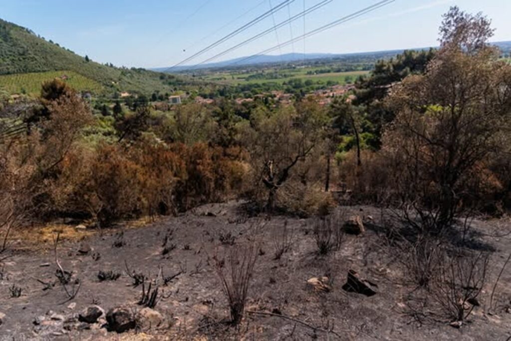 incendio monte faeta