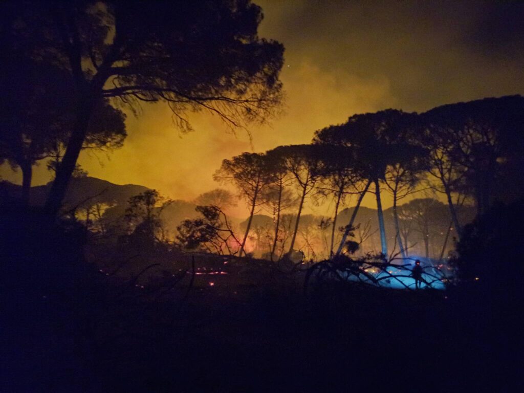 incendio parco Doñana spagna