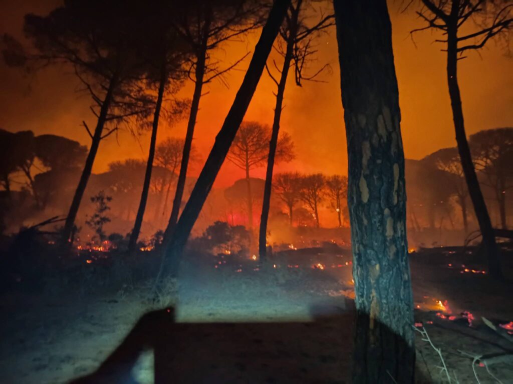 incendio parco Doñana spagna