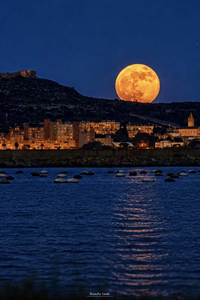 luna dei fiori cagliari