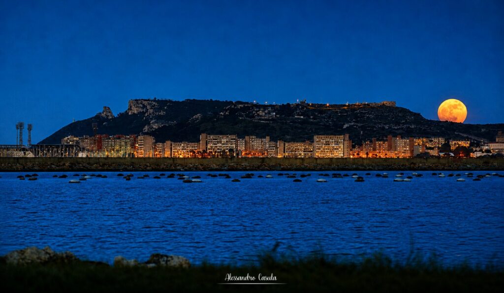 luna dei fiori cagliari
