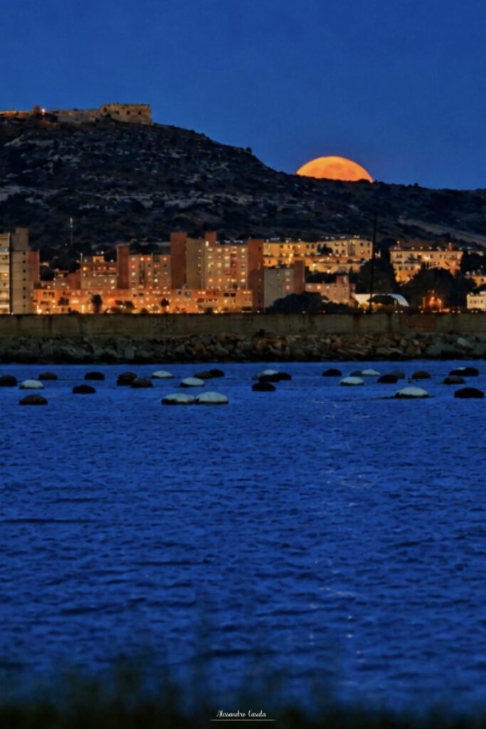luna dei fiori cagliari