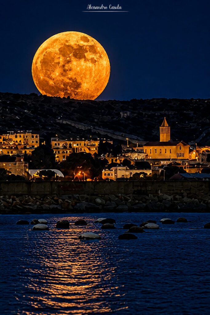 luna fiori casula