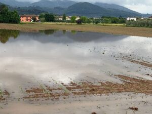 maltempo agricoltura