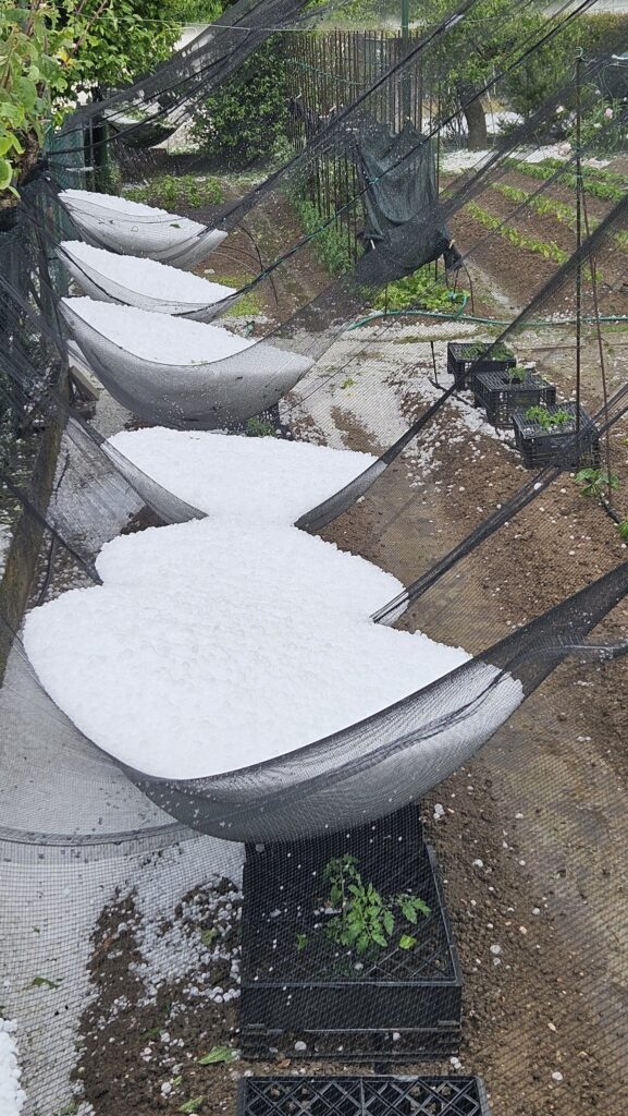 maltempo grandine San biagio di Callalta veneto 2
