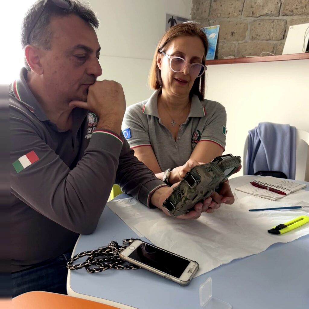 monitoraggio foca monaca punta campanella