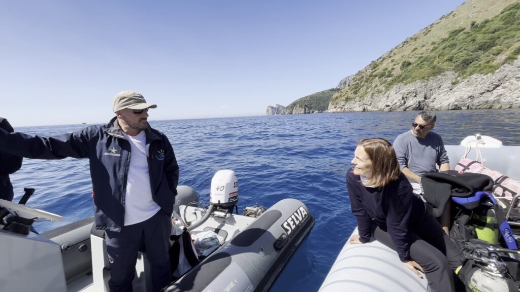monitoraggio foca monaca punta campanella