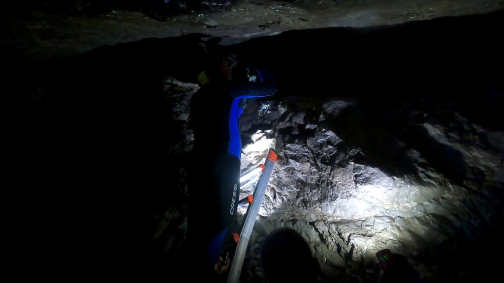 monitoraggio foca monaca punta campanella