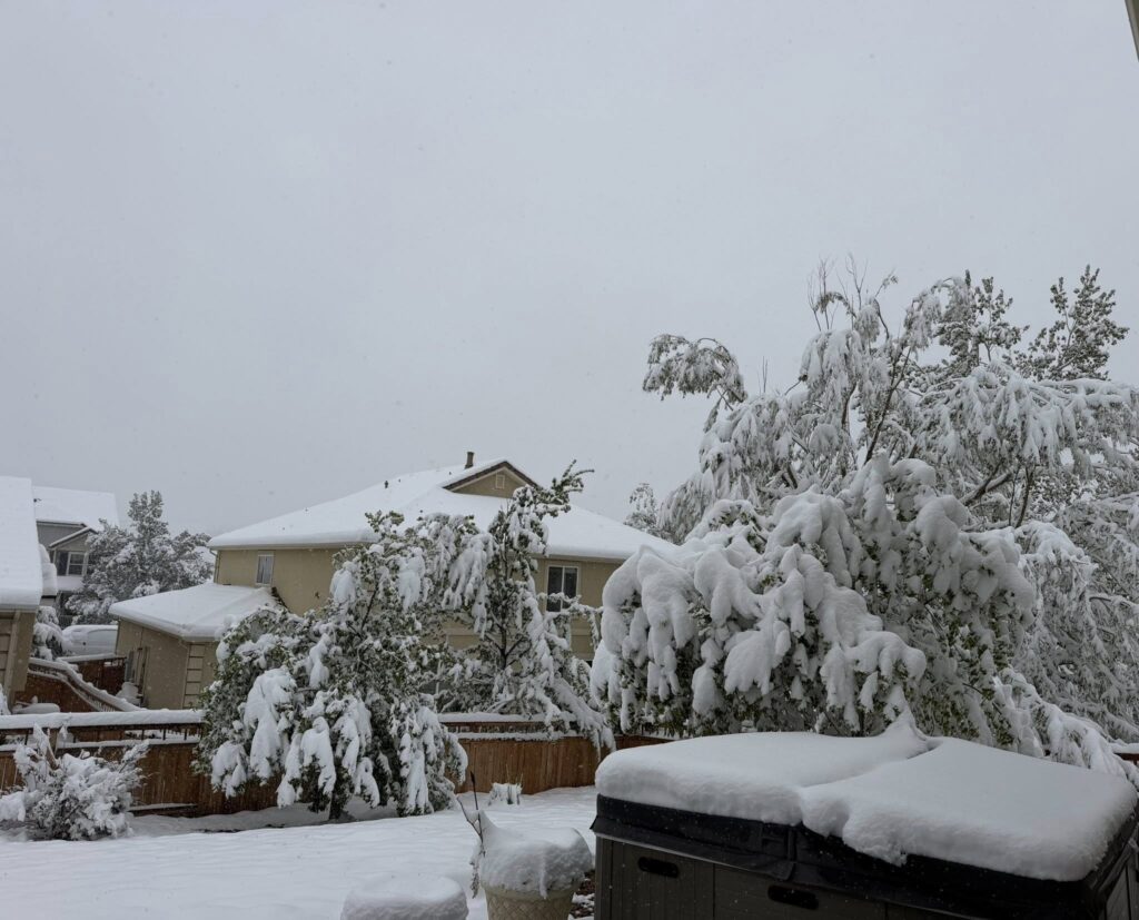 neve colorado