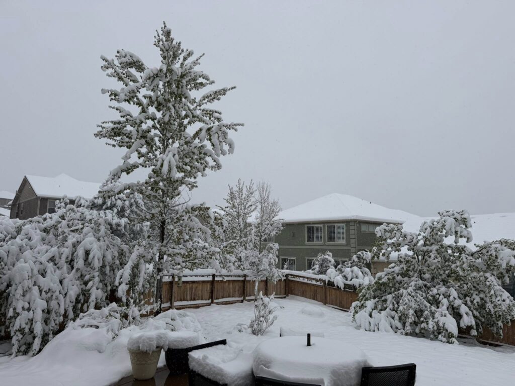 neve colorado