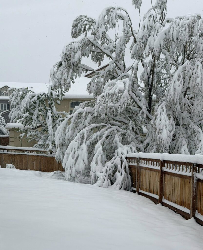 neve colorado