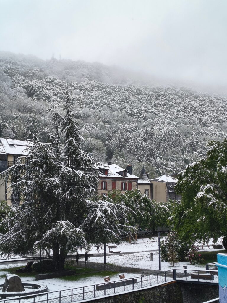 neve francia