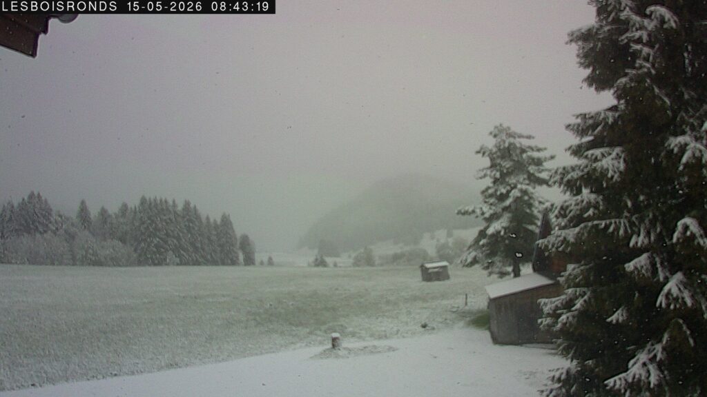 neve francia