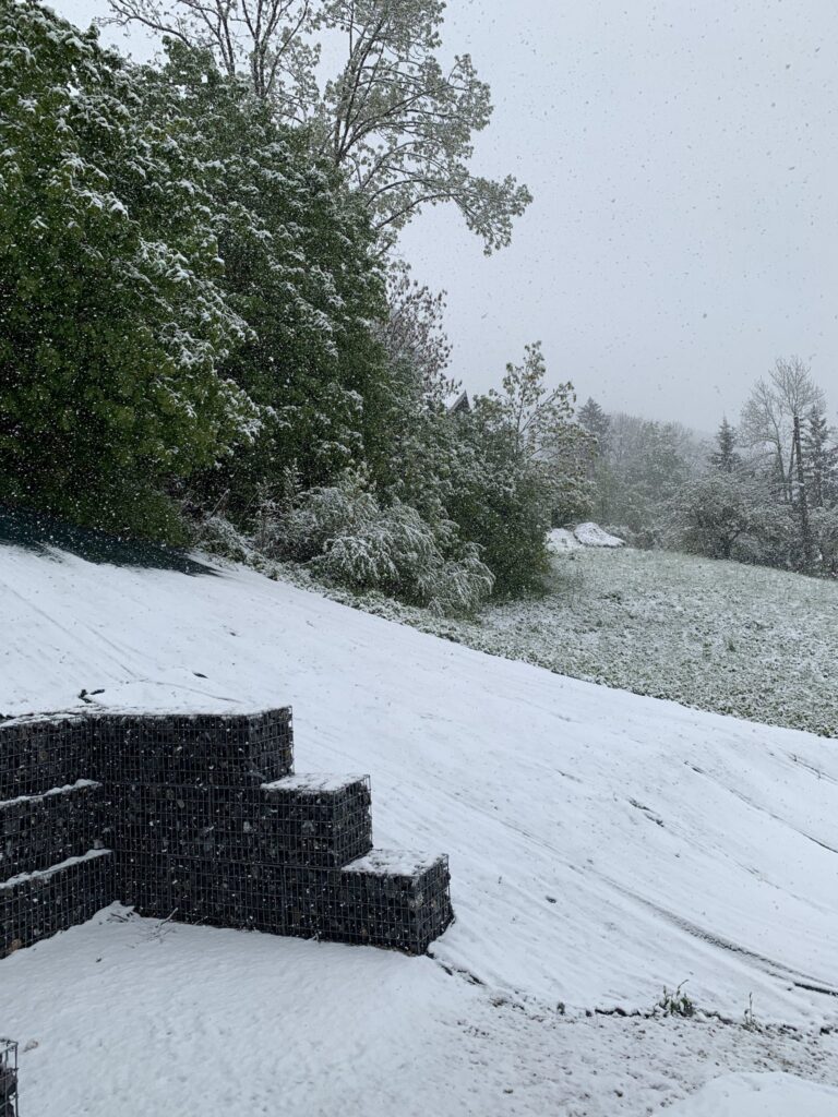 neve francia