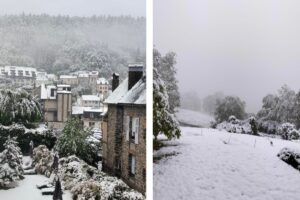 neve francia