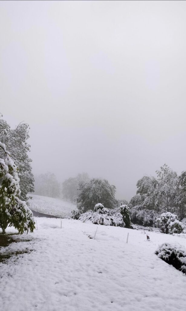neve francia