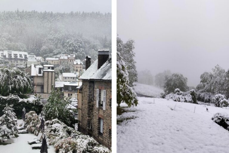 neve francia
