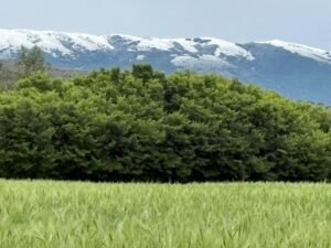 neve umbria